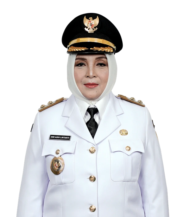 Hj. Dwi Asih Lintarti, Wakil Bupati Banyumas